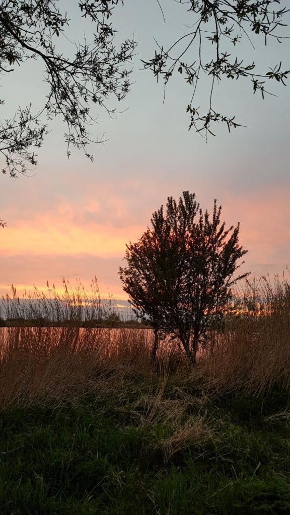 Ferienwohnung Ostfriesenglueck เลียร์ ภายนอก รูปภาพ